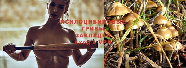 spice Алексеевка