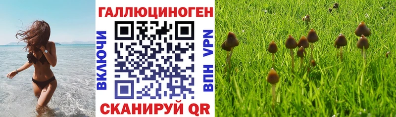 купить наркотики сайты гидра рабочий сайт Псилоцибиновые грибы GOLDEN TEACHER Слюдянка