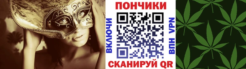 Шишки марихуана Bruce Banner  Слюдянка 
